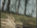 0:11:59